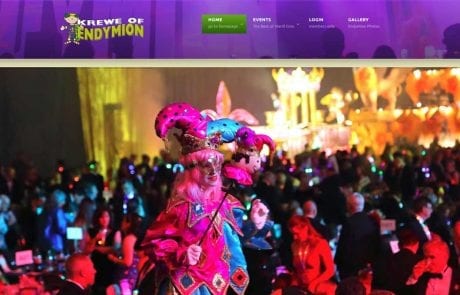 endymion website design image